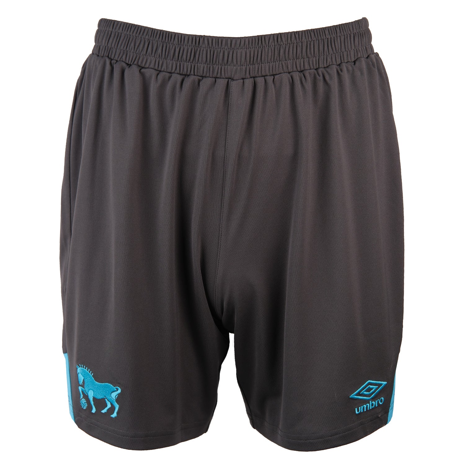 Umbro 2025/26 Adult Third Short